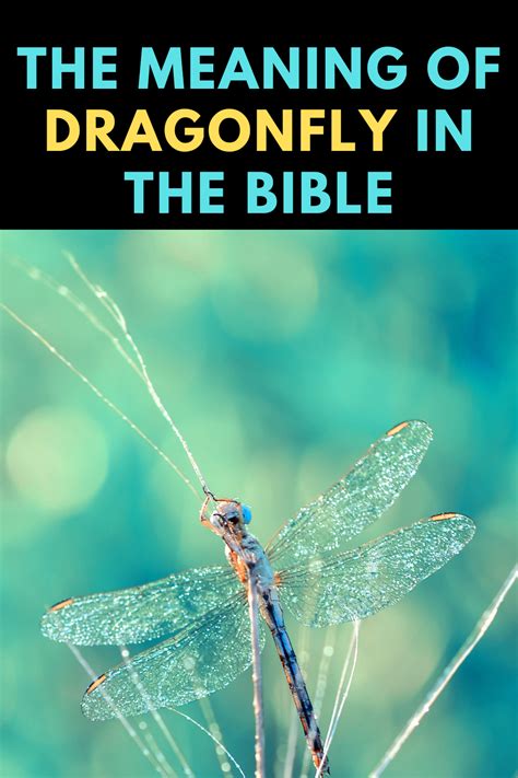 meaning of dragonfly in the bible|dragonfly verses.